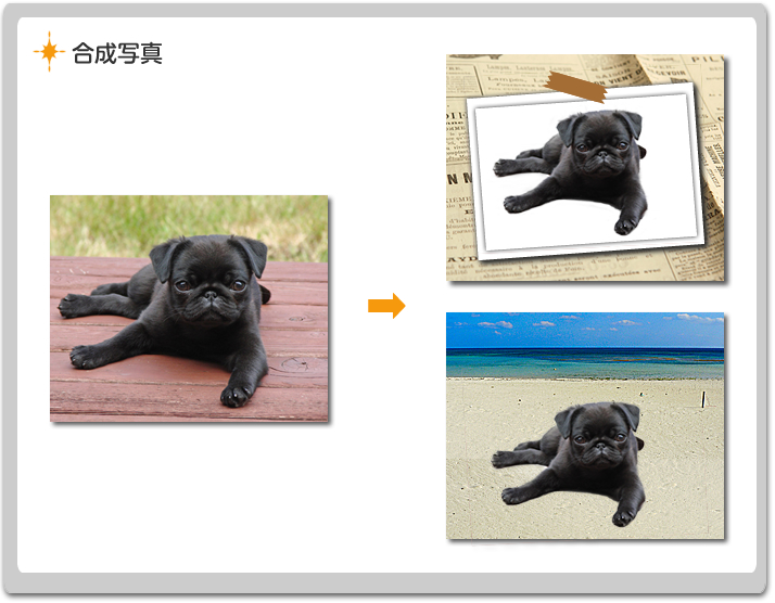 写真修正アトリエ ペットの写真