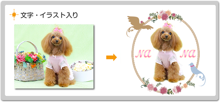 写真修正アトリエ ペットの写真